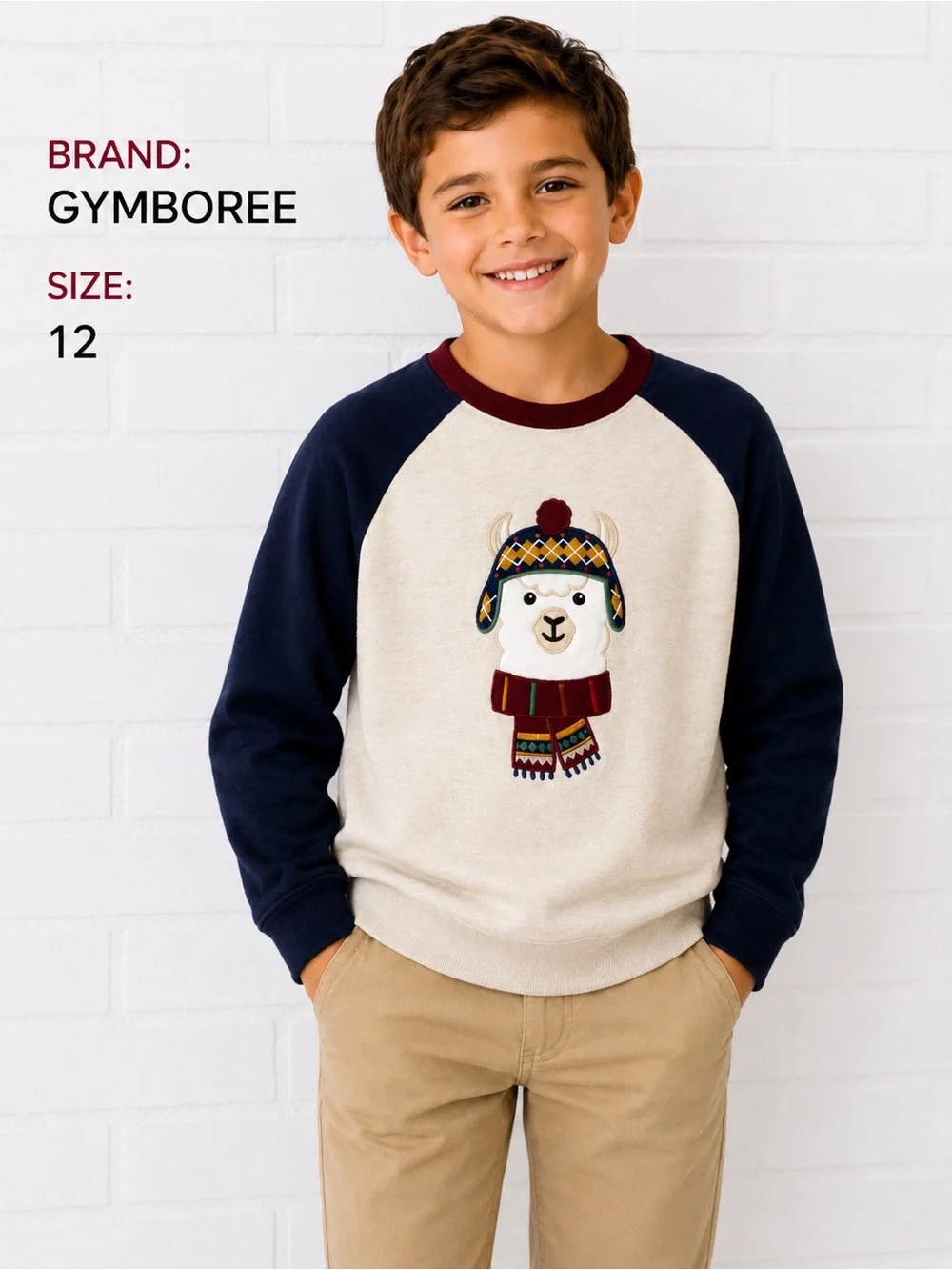 Gymboree Llama Sweatshirt Boys Size 12 Cream Navy Raglan Winter Holiday